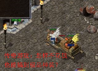 ϷǮҲܸ㵽Ʒװ