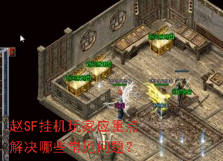 SFһӦصЩ⣿