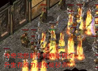 淨ʦǰⱻɱ