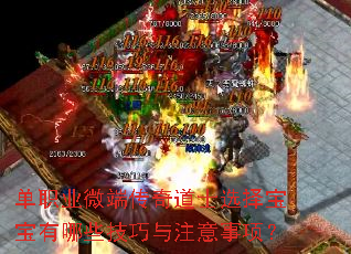 ְҵ΢˴ʿѡ񱦱Щע