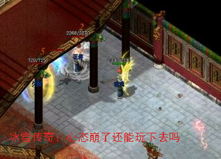 ѩ棺̬˻ȥ