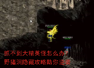 ץӢô죿ҰعϮ