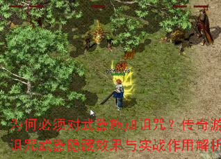 Ϊαʩ䣿ϷЧʵսý