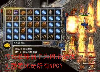 ˽ΪαϤNPC
