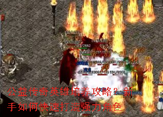 公益传奇英雄培养攻略?新手如何快速打造强力角色 公益传奇英雄培养攻略?新手如何快速打造强力角色