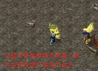 公益传奇英雄培养攻略?新手如何快速打造强力角色 公益传奇英雄培养攻略?新手如何快速打造强力角色