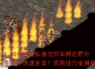 1.80英雄版私服法师如何在野外生存并快速发育?实用技巧全解析 1.80英雄版私服法师如何在野外生存并快速发育?实用技巧全解析