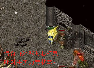 传奇野外<a href=