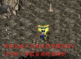 传奇私服不充值怎样免费获取VIP特权?零氪金攻略全解析 传奇私服不充值怎样免费获取VIP特权?零氪金攻略全解析
