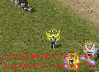 新手玩家如何在传奇SF中正确评估自身实力并制定合理发展策略? 新手玩家如何在传奇SF中正确评估自身实力并制定合理发展策略?