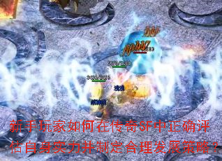 新手玩家如何在传奇SF中正确评估自身实力并制定合理发展策略? 新手玩家如何在传奇SF中正确评估自身实力并制定合理发展策略?