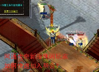 网通<a href=