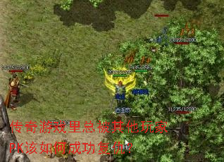 传奇游戏里总被其他玩家PK该如何成功复仇? 传奇游戏里总被其他玩家PK该如何成功复仇?