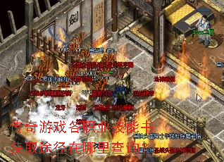 传奇游戏各职业技能书获取途径在哪里查询? 传奇游戏各职业技能书获取途径在哪里查询?