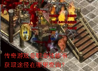 传奇游戏各职业技能书获取途径在哪里查询? 传奇游戏各职业技能书获取途径在哪里查询?