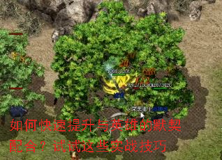 如何快速提升与英雄的默契配合?试试这些实战技巧 如何快速提升与英雄的默契配合?试试这些实战技巧