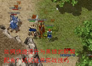 如何快速提升与英雄的默契配合?试试这些实战技巧 如何快速提升与英雄的默契配合?试试这些实战技巧