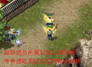 翅膀进阶所需羽毛从何而来?传奇游戏高效获取<a href=