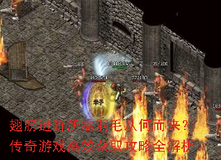 翅膀进阶所需羽毛从何而来?传奇游戏高效获取攻略全解析 翅膀进阶所需羽毛从何而来?传奇游戏高效获取攻略全解析