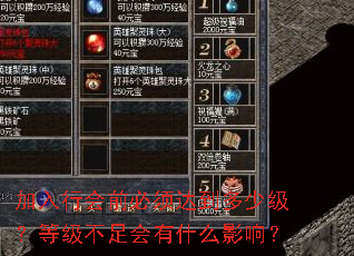 加入行会前必须达到多少级?等级不足会有什么影响? 加入行会前必须达到多少级?等级不足会有什么影响?