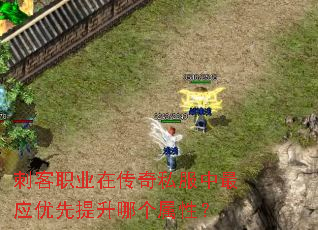 刺客职业在传奇私服中最应优先提升哪个属性? 刺客职业在传奇私服中最应优先提升哪个属性?