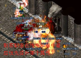 刺客职业在传奇私服中最应优先提升哪个属性? 刺客职业在传奇私服中最应优先提升哪个属性?