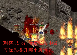 刺客职业在传奇私服中最应优先提升哪个属性? 刺客职业在传奇私服中最应优先提升哪个属性?