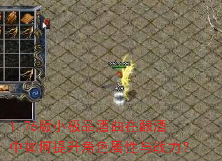 1.76版小极品酒曲在酿酒中如何提升角色属性与战力? 1.76版小极品酒曲在酿酒中如何提升角色属性与战力?