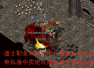 道士职业如何利用召唤兽与毒术在<a href=