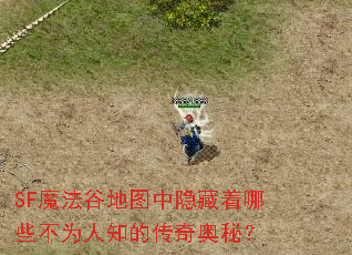 SF魔法谷地图中隐藏着哪些不为人知的传奇奥秘? SF魔法谷地图中隐藏着哪些不为人知的传奇奥秘?