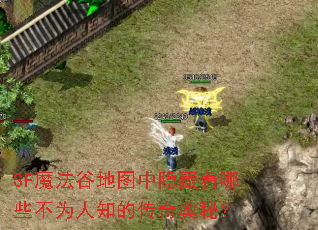 SF魔法谷地图中隐藏着哪些不为人知的传奇奥秘? SF魔法谷地图中隐藏着哪些不为人知的传奇奥秘?