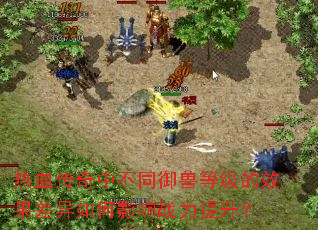 热血传奇中不同御兽等级的效果差异如何影响战力提升? 热血传奇中不同御兽等级的效果差异如何影响战力提升?