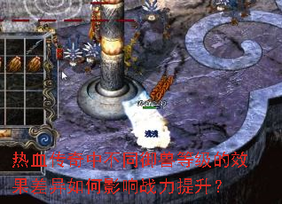 热血传奇中不同御兽等级的效果差异如何影响战力提升? 热血传奇中不同御兽等级的效果差异如何影响战力提升?