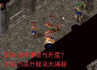 盾牌如何镶嵌与升星?生存力提升秘诀大揭秘 盾牌如何镶嵌与升星?生存力提升秘诀大揭秘