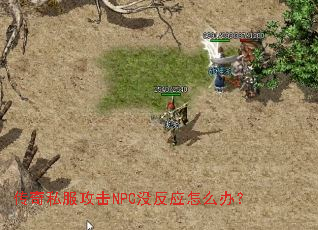 传奇私服攻击NPC没反应怎么办? 传奇私服攻击NPC没反应怎么办?