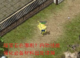绿宝石在哪刷?内功技能强化必备材料出处详解 绿宝石在哪刷?内功技能强化必备材料出处详解