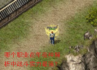 哪个职业在年夜神解析中战斗实力最强? 哪个职业在年夜神解析中战斗实力最强?