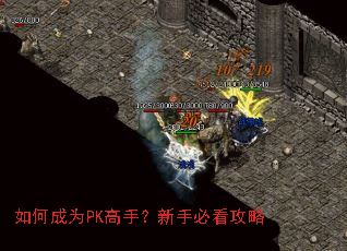 如何成为PK高手?新手必看攻略 如何成为PK高手?新手必看攻略