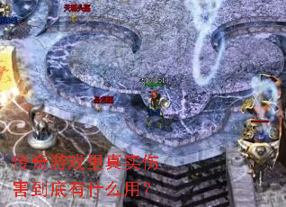 传奇游戏里真实伤害到底有什么用? 传奇游戏里真实伤害到底有什么用?