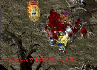 有必要在传奇里开通赞助会员吗? 有必要在传奇里开通赞助会员吗?