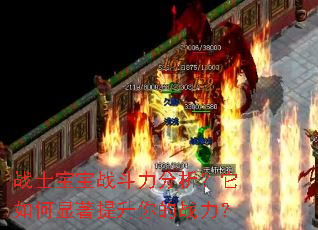 战士宝宝战斗力分析?它如何显著提升你的战力? 战士宝宝战斗力分析?它如何显著提升你的战力?