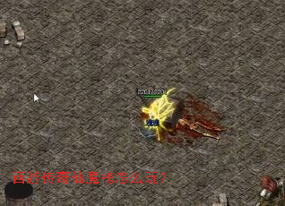 西游传奇仙魔榜怎么玩? 西游传奇仙魔榜怎么玩?