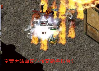 蛮荒大陆单职业传奇新手指南? 蛮荒大陆单职业传奇新手指南?