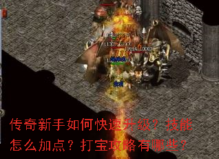 ����������ο���������������ô�ӵ㣿�򱦹�������Щ��