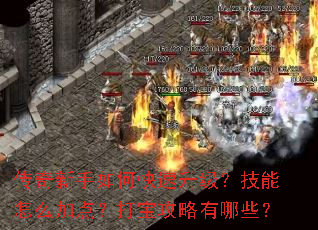 ����������ο���������������ô�ӵ㣿�򱦹�������Щ��