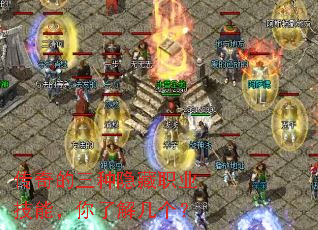 �������������ְҵ���ܣ����˽⼸����