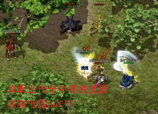 ��ְҵ��������Щ����ӵ��ר��buff��