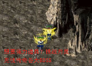 ��Ҫǿ�����ߣ���ս�������Ǵ������BOSS