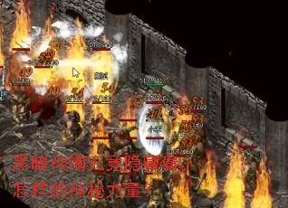 �ڰ�������������������������������