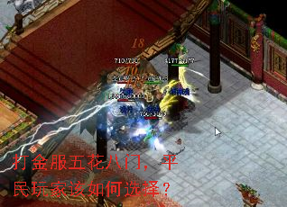 �����廨���ţ�ƽ����Ҹ����ѡ��